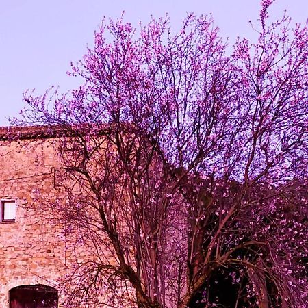 דירות Beuda El Castell De Seguero מראה חיצוני תמונה